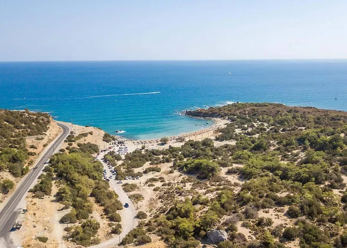 Apollon Lindian Palm By