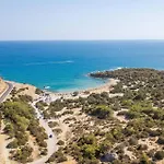 Apollon Lindian Palm By